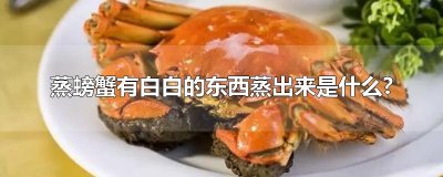 ​蒸螃蟹有白白的东西蒸出来是什么?