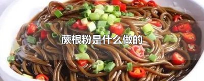 ​蕨根粉是什么做的