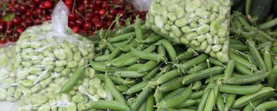 ​怎样保存蚕豆到冬天