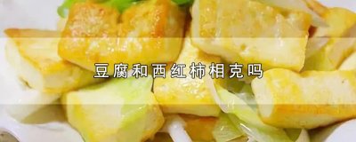 ​豆腐和西红柿相克吗