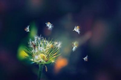 ​长三角指哪些城市珠三角指哪些省份