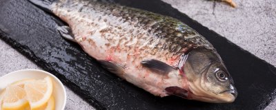 ​鱼儿拍动鳃盖是为啥