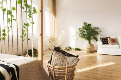 ​红钻花的养殖方法和注意事项