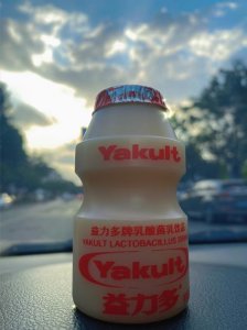 ​养乐多什么时候喝最好（服用养乐多的时间）