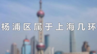 ​杨浦区属于上海几环