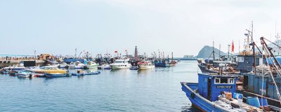 ​禾虫具体是什么虫子