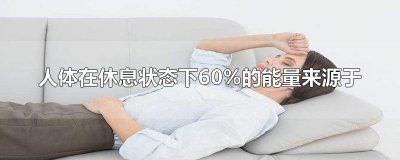 ​人体在休息状态下60%的能量来源于