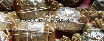 ​大闸蟹有白色胶状物可以吃吗 大闸蟹有白色胶状的东西