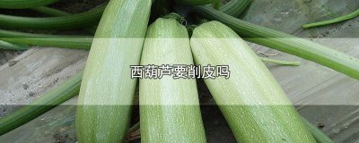 ​西葫芦要削皮吗怎么剥的快 西葫芦要削皮吗怎么剥的好