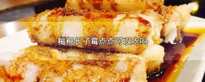 ​糍粑上有霉点还能吃吗 糍粑有一点点发霉可以吃吗