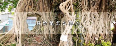 ​富豪的身价是怎么算的 身价是怎么算的?