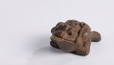 ​癞蛤蟆和蟾蜍是一种动物吗