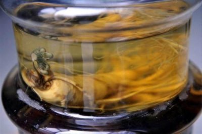 ​大爷用300元买人参泡酒里6年，打开瓶子后大爷不敢相信眼睛