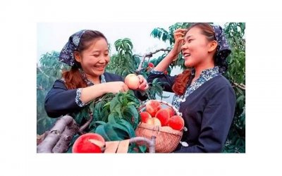 ​第一次约会注意哪些细节，能让她好感倍增？