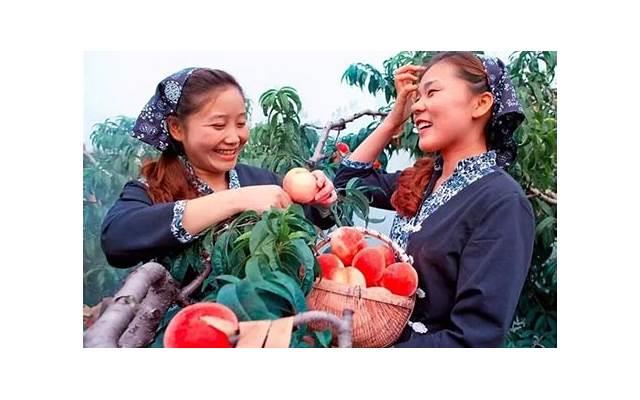 第一次约会注意哪些细节，能让她好感倍增？