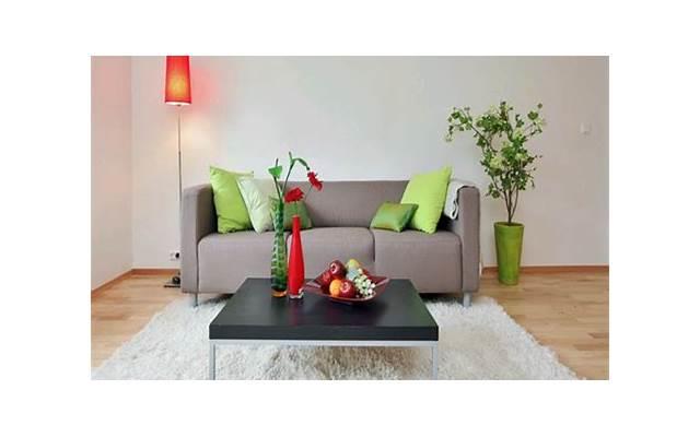 属猪办公室风水布局有什么 属猪办公室风水布局有何讲究