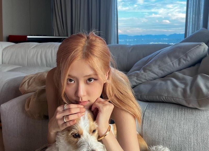 跟直男聊天太可怕了 聊着能把你气死 跟直男聊天太可怕了 聊着能把你气死