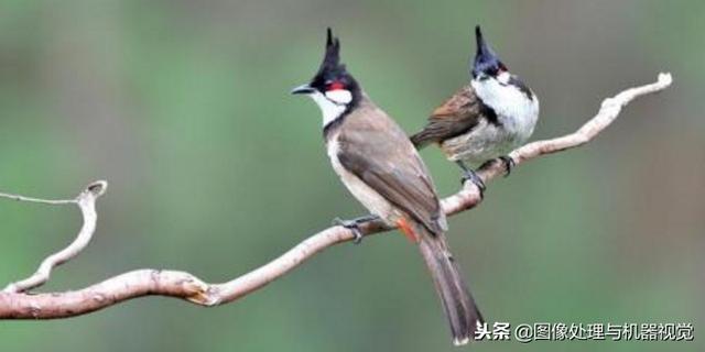 长焦增倍镜有什么用（增距镜远摄变距镜）(6)