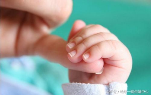 人工受精双胞胎费用多少(人工受精都是双胞胎吗)-第1张图片-