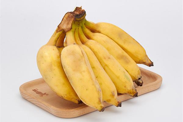 芭蕉的营养价值 芭蕉的好处是什么 芭蕉的营养价值 芭蕉的好处是什么