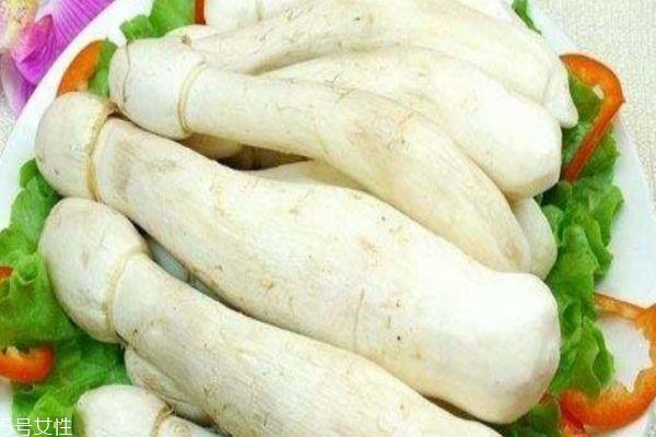 什么是鸡腿菇 鸡腿菇有什么功效呢 什么是鸡腿菇 鸡腿菇有什么功效呢