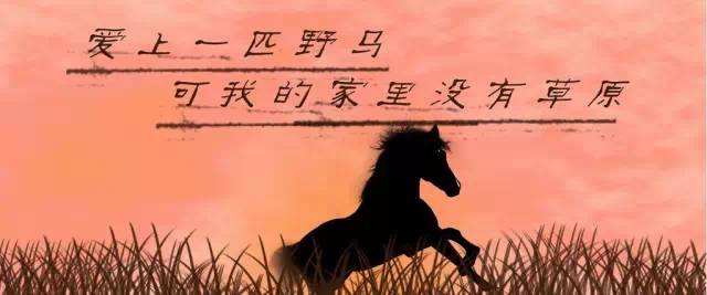 爱上一匹野马可我的家里没有草原是什么歌（歌名董小姐）