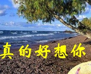 我真的好想你是什么歌（这首歌的完整歌词）