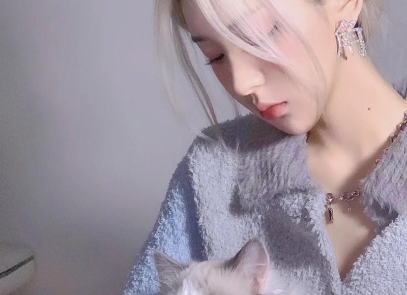 镇魂壁纸动漫(镇魂壁纸表情包)